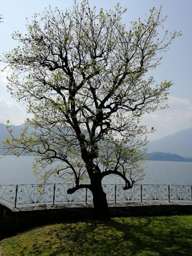 Villa L'Antico Borgo, Un Mix Di Storia E Romanticismo à Lierna Extérieur photo