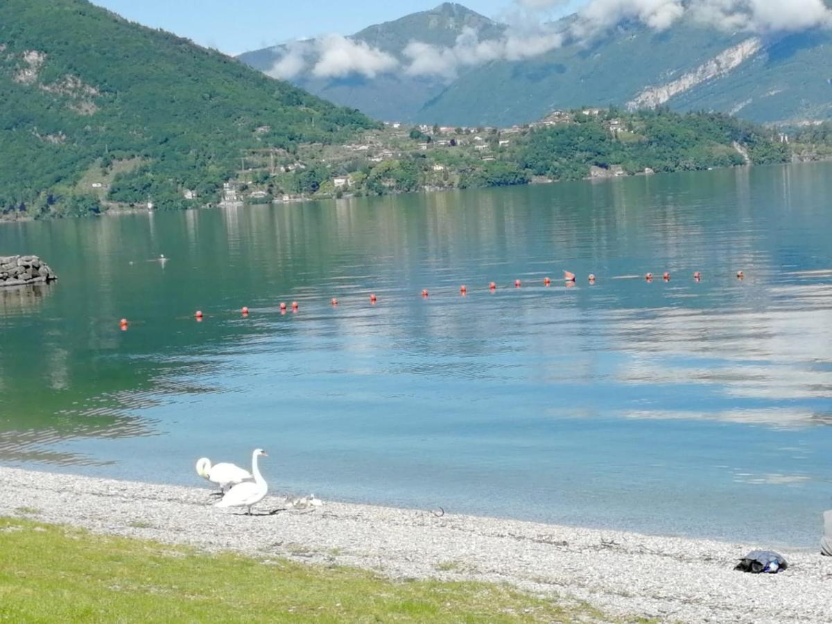 Villa L'Antico Borgo, Un Mix Di Storia E Romanticismo à Lierna Extérieur photo
