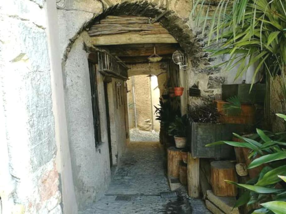 Villa L'Antico Borgo, Un Mix Di Storia E Romanticismo à Lierna Extérieur photo